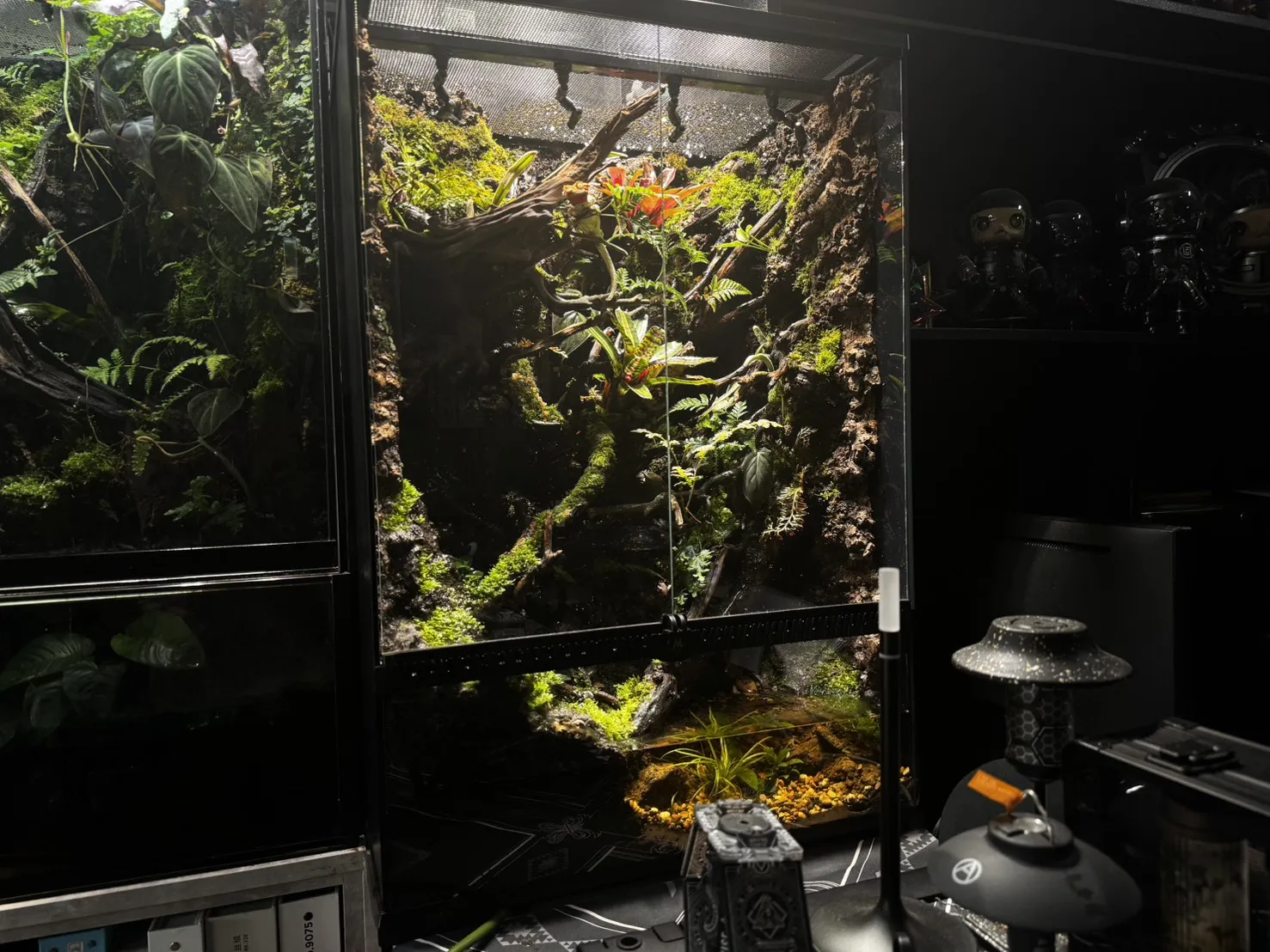 夢幻迷霧森林瀑布生態雨林缸(60cm*45cm*90cm)