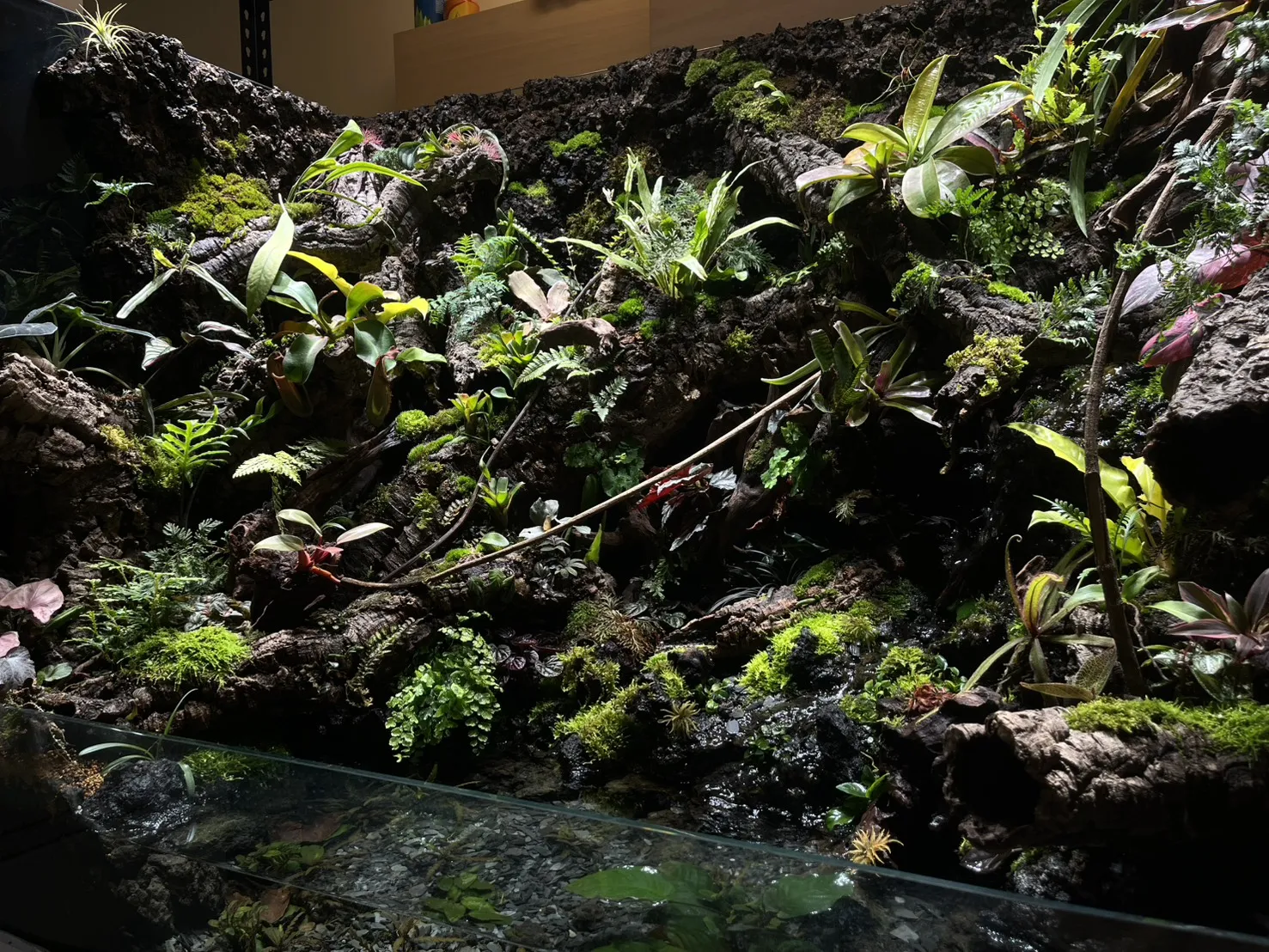 瀑布溪流大型生態雨林造景(167cm*91cm*124cm)