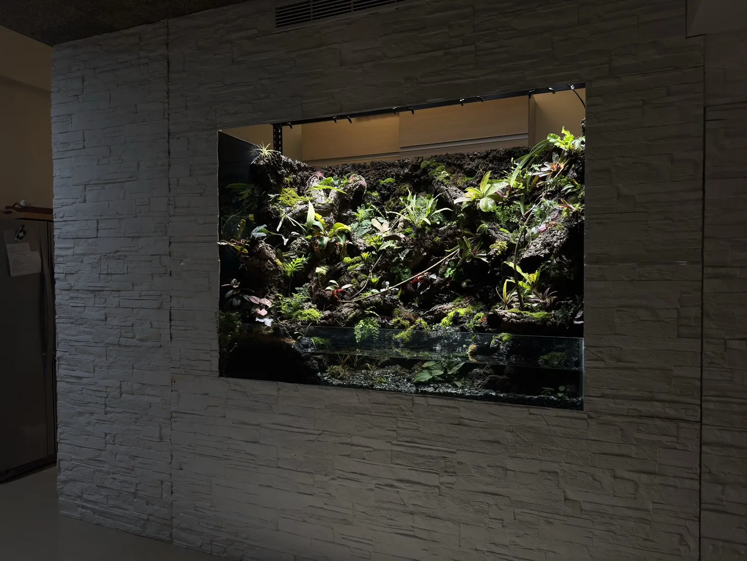 瀑布溪流大型生態雨林造景(167cm*91cm*124cm)