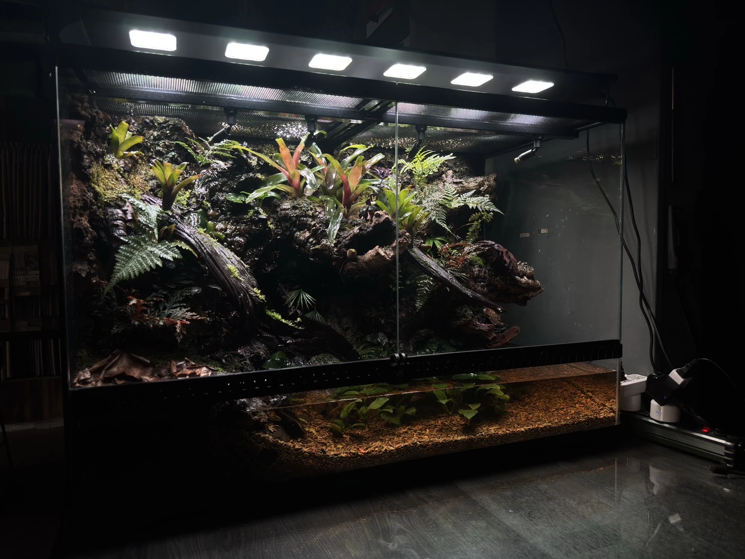亞馬遜生態雨林缸(90cm*45cm*60cm)