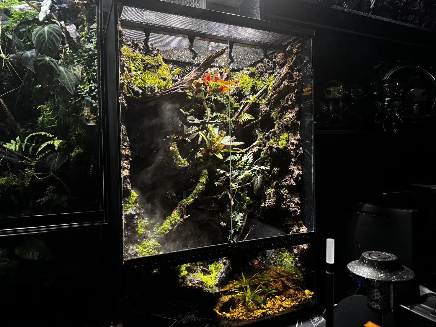 夢幻迷霧森林瀑布生態雨林缸(60cm*45cm*90cm)