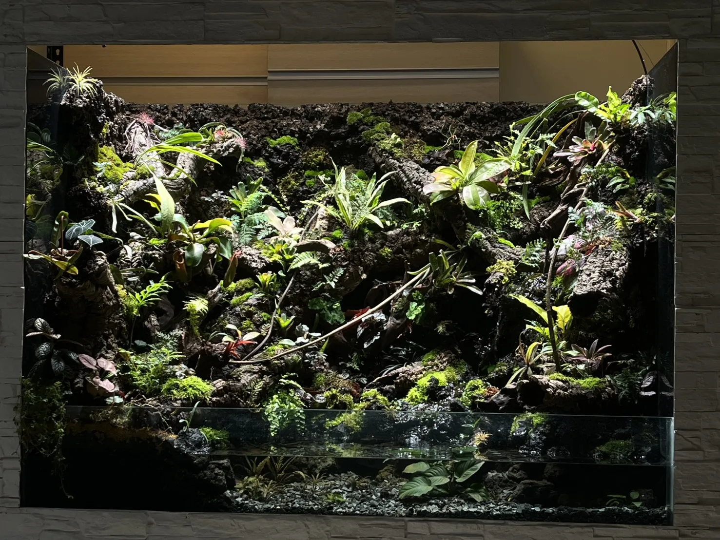 瀑布溪流大型生態雨林造景(167cm*91cm*124cm)