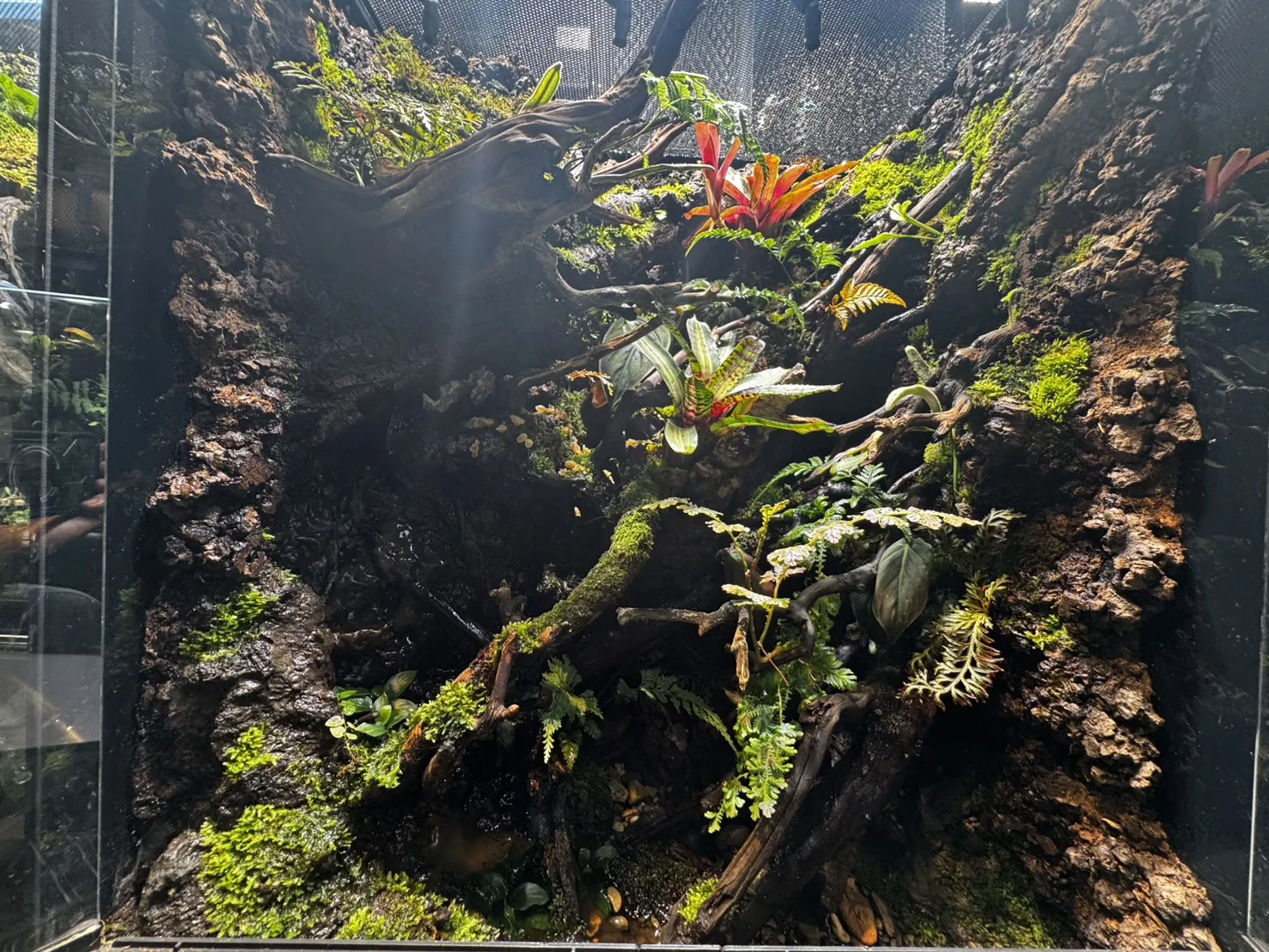 夢幻迷霧森林瀑布生態雨林缸(60cm*45cm*90cm)