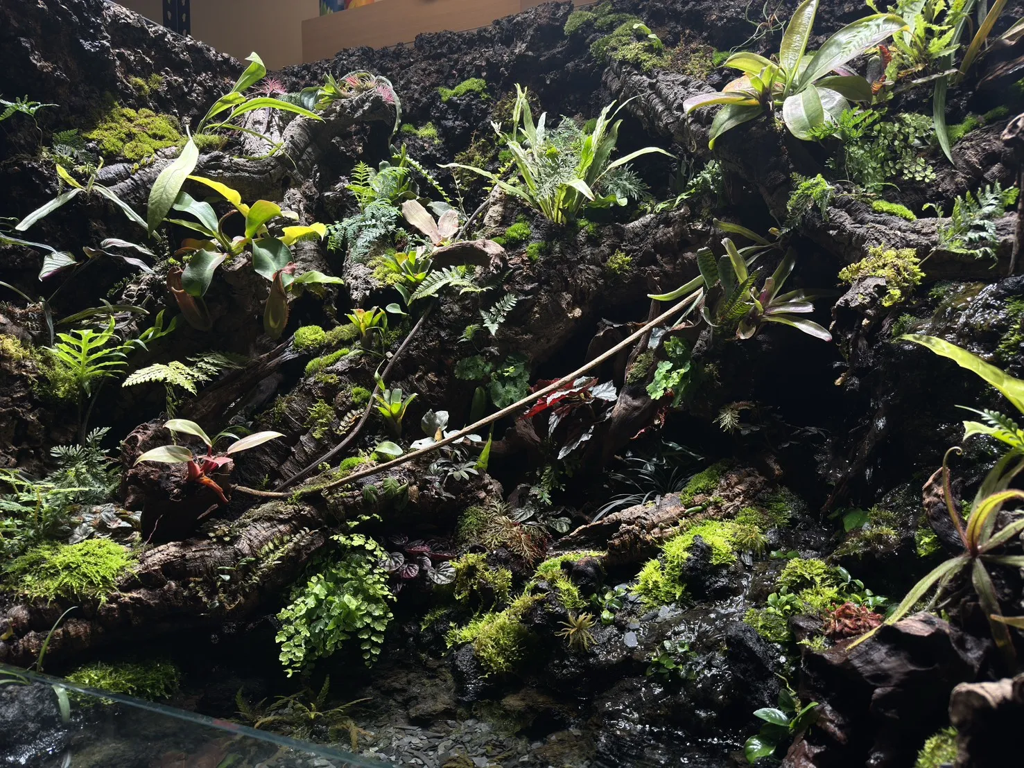 瀑布溪流大型生態雨林造景(167cm*91cm*124cm)