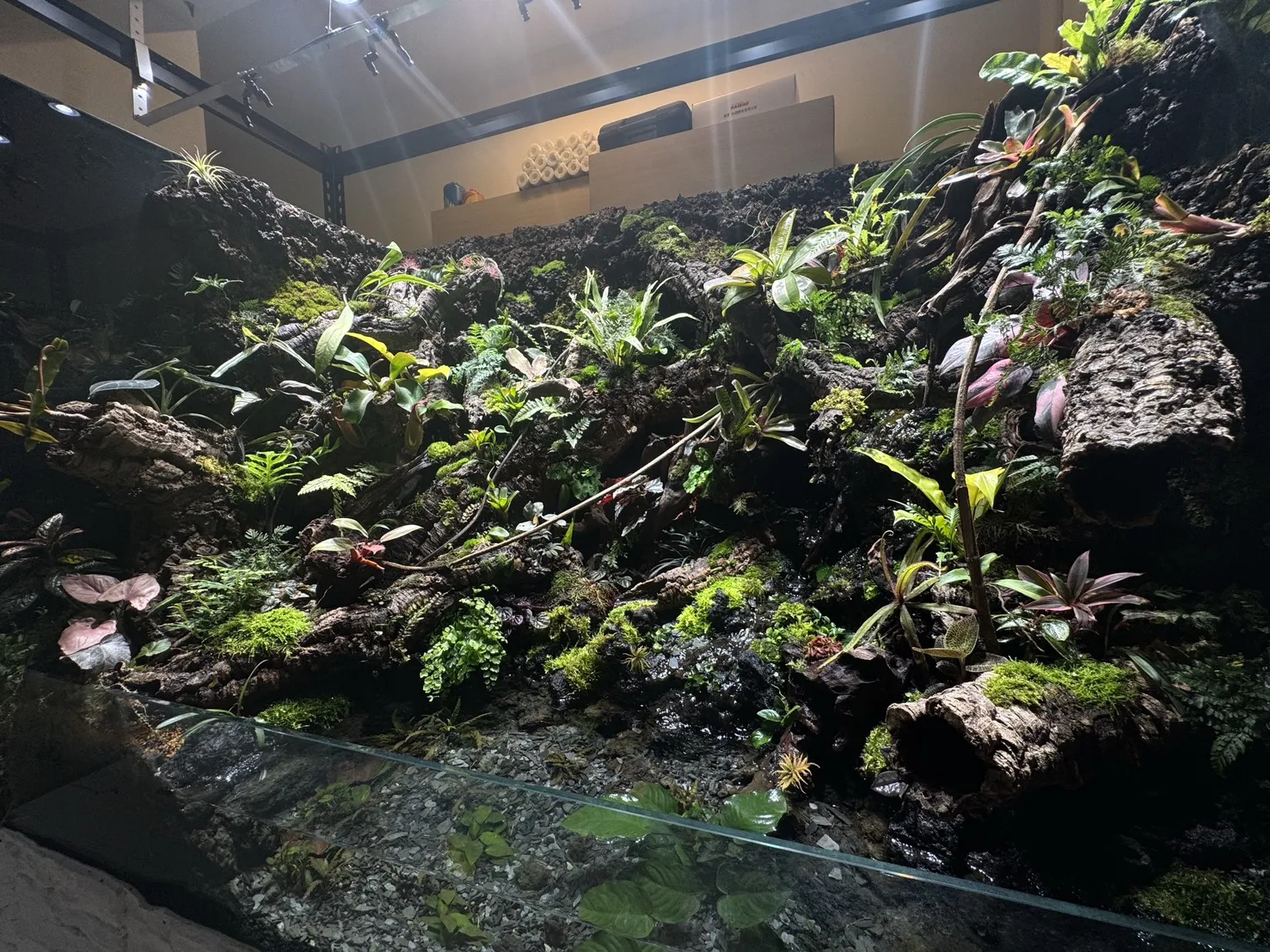 瀑布溪流大型生態雨林造景(167cm*91cm*124cm)