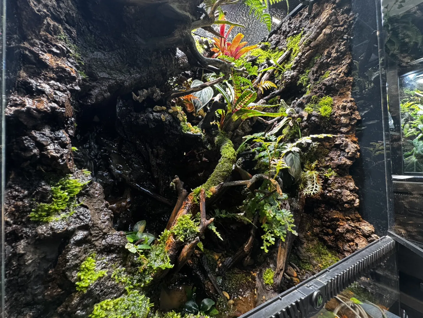 夢幻迷霧森林瀑布生態雨林缸(60cm*45cm*90cm)