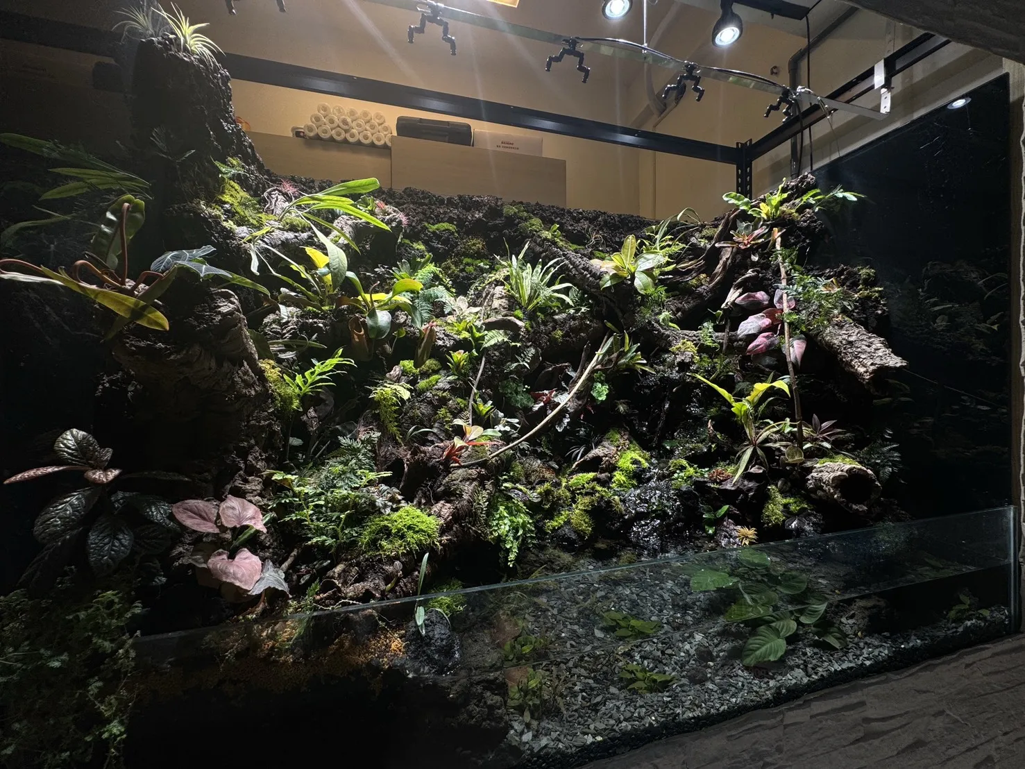 瀑布溪流大型生態雨林造景(167cm*91cm*124cm)