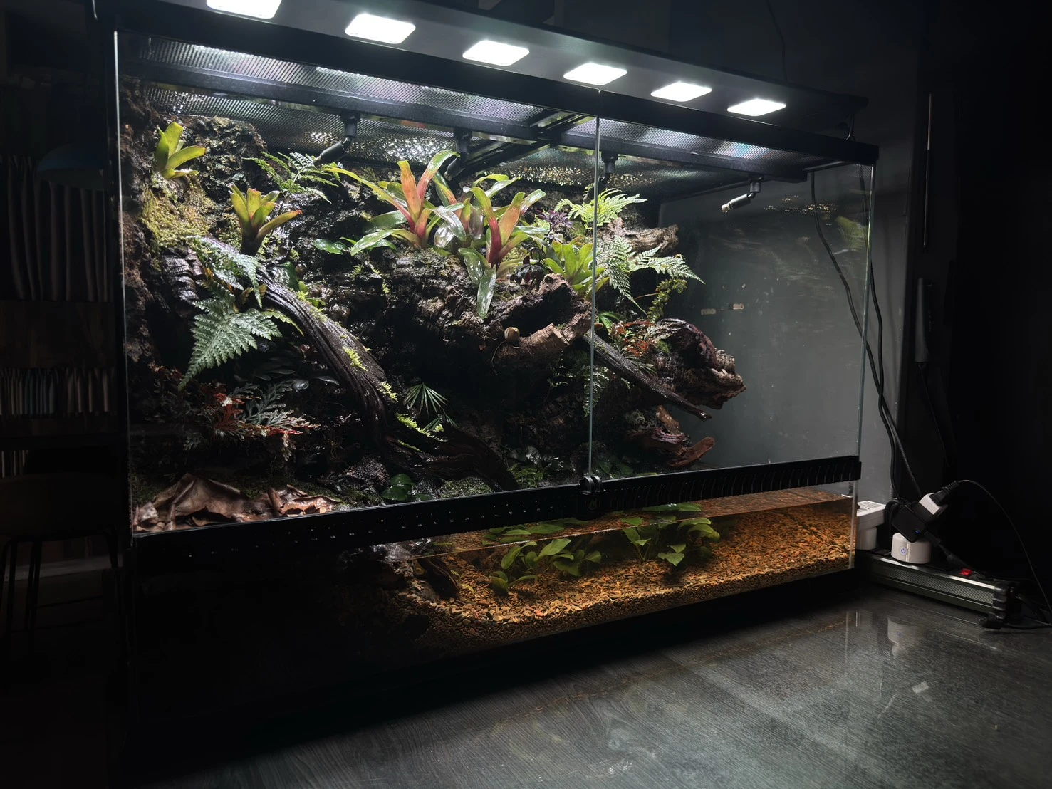 亞馬遜生態雨林缸(90cm*45cm*60cm)