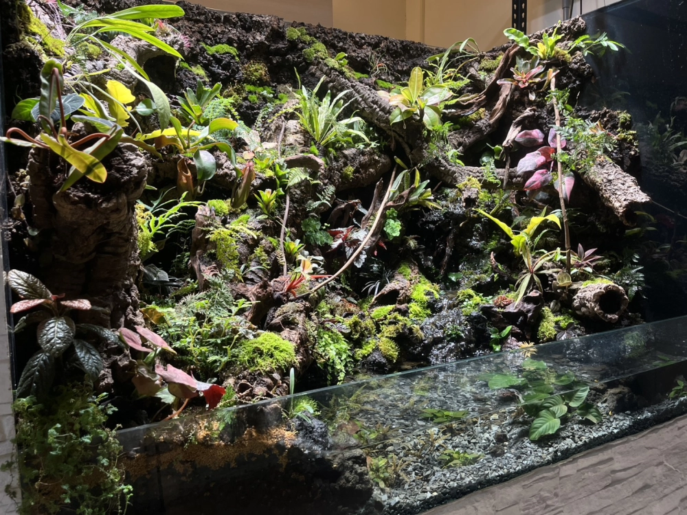 瀑布溪流大型生態雨林造景(167cm*91cm*124cm)