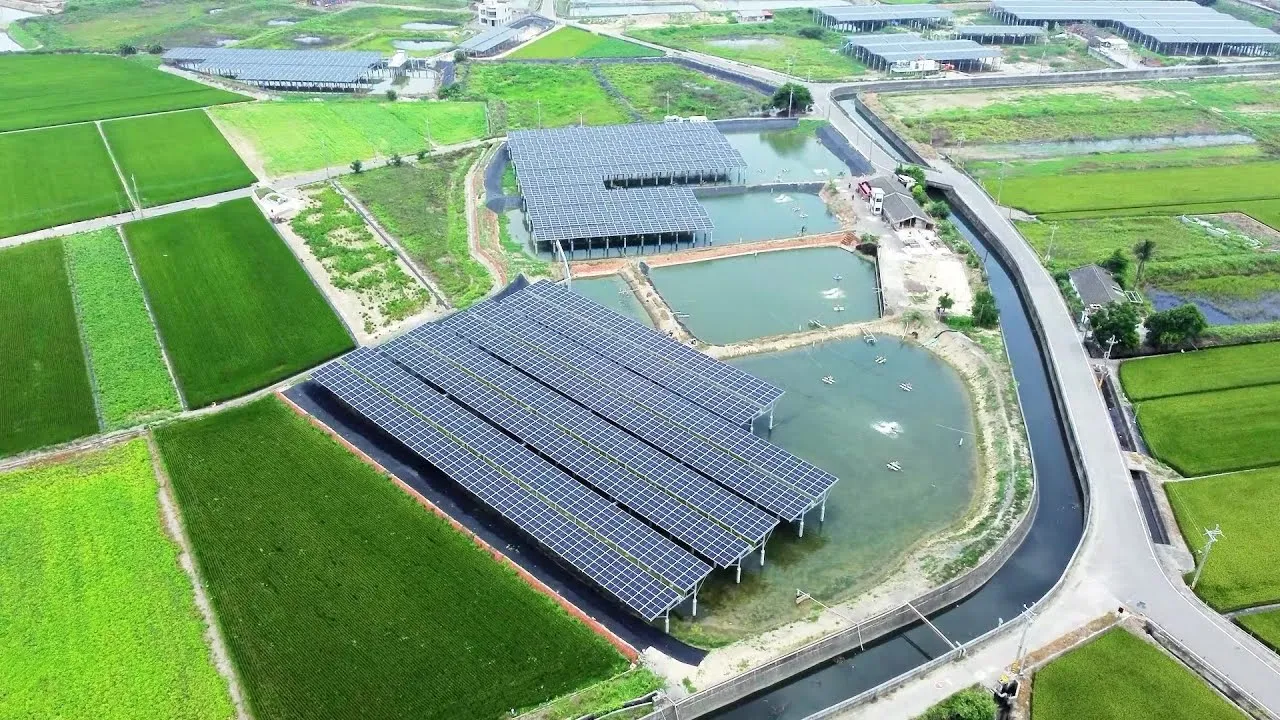 【永鑫能源】 I 漁電共生影片 養殖階段篇