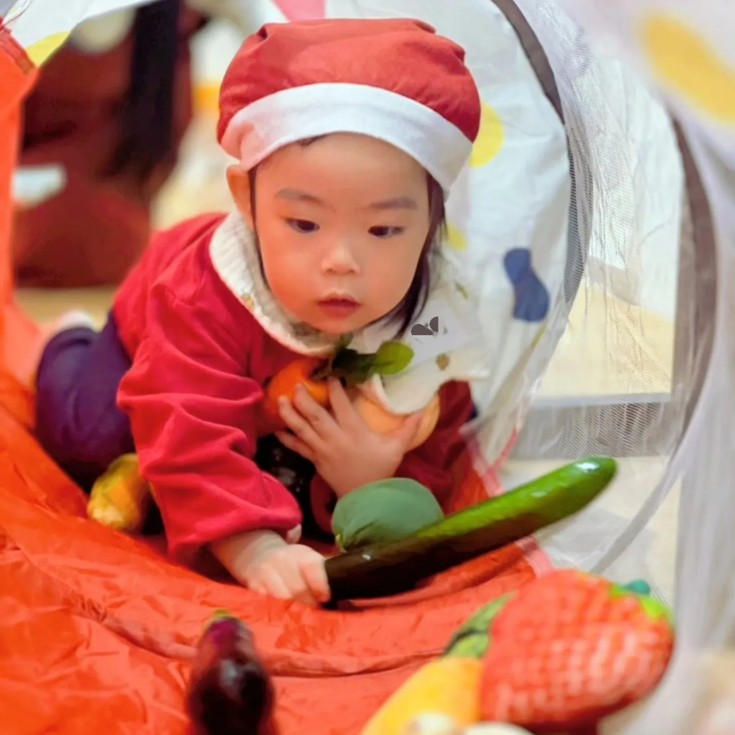 孩子透過「看、聽、聞、摸、感受」