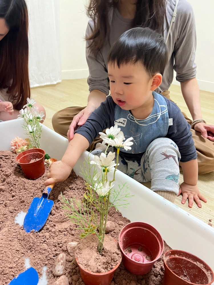 寶寶音樂感官