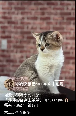 難得的金賓士弟弟