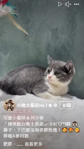 極美藍白賓士弟弟