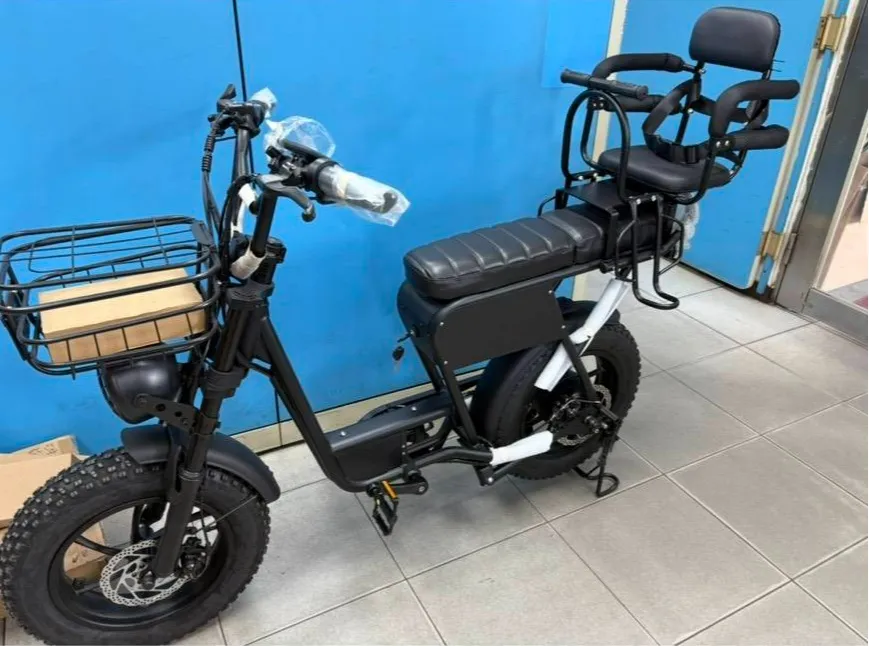 電輔自行車