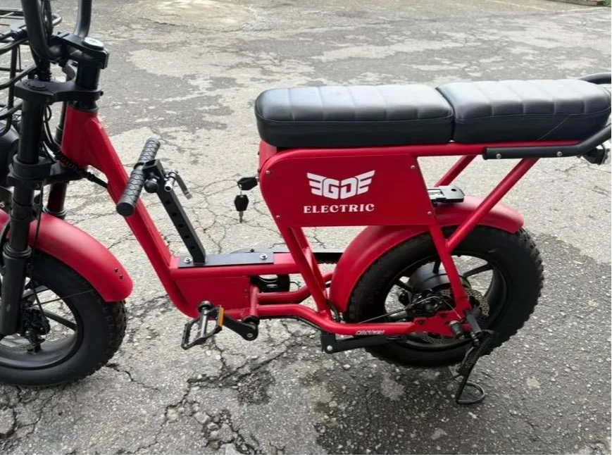 電輔自行車