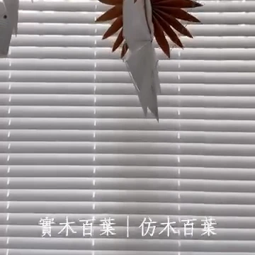｜木百葉｜實木百葉｜仿木百葉｜