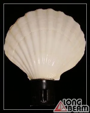 貝殼夜燈
