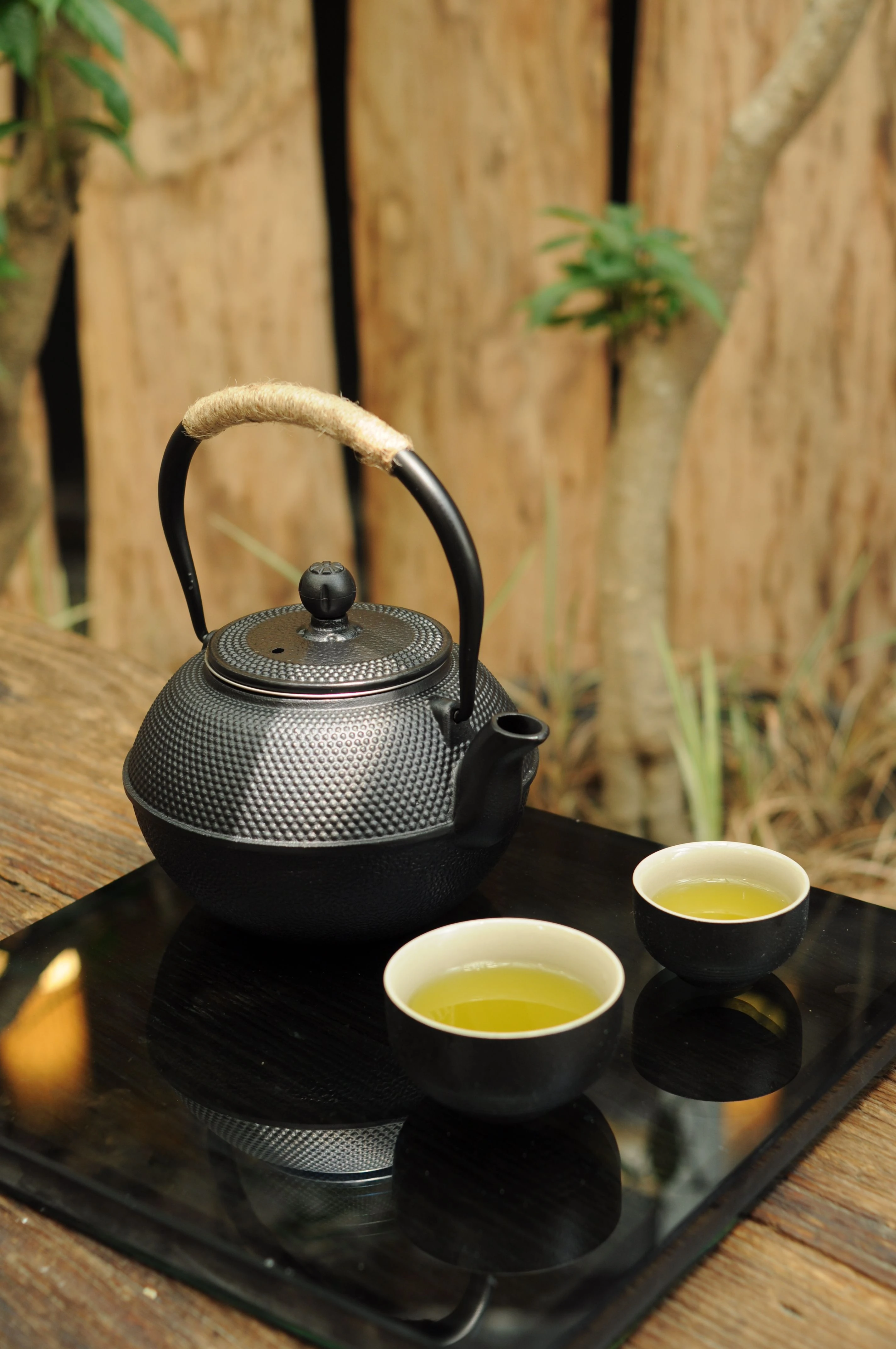 金萱茶