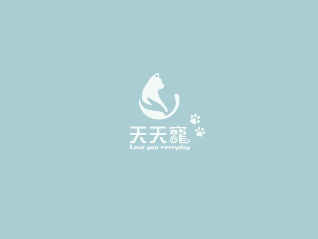 幼貓帶回家要準備什麼？用品、環境與適應期注意事項一次整理｜台北幼貓｜永和貓舍