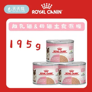 法國皇家 BC34W離乳貓罐頭 195g