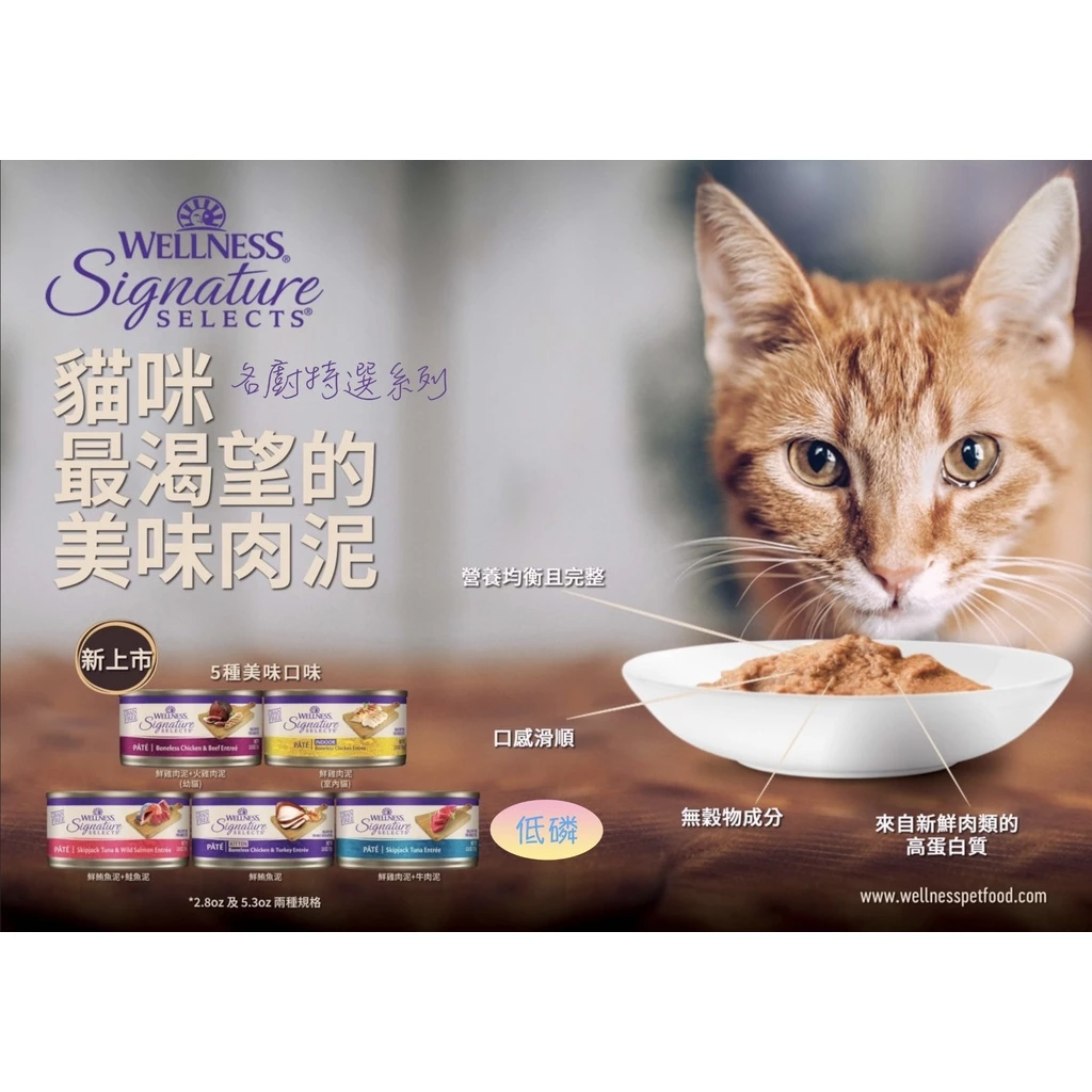  WELLNESS 無穀SS 名廚特選  貓主食罐