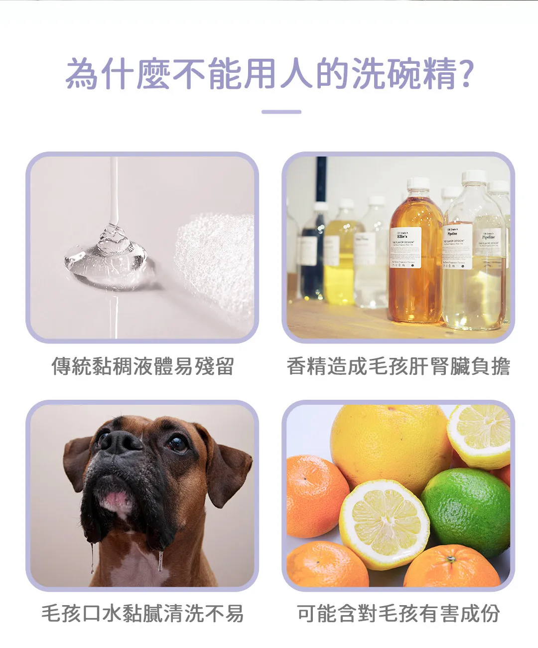 黃金盾 寵物食器專用洗滌慕斯 500ml