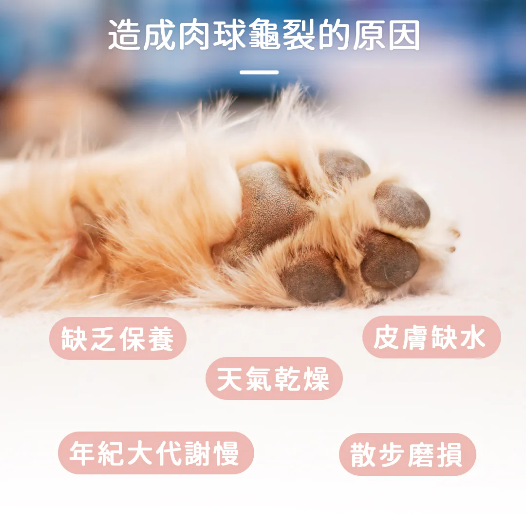 黃金盾 寵物肉球護理霜 30ml
