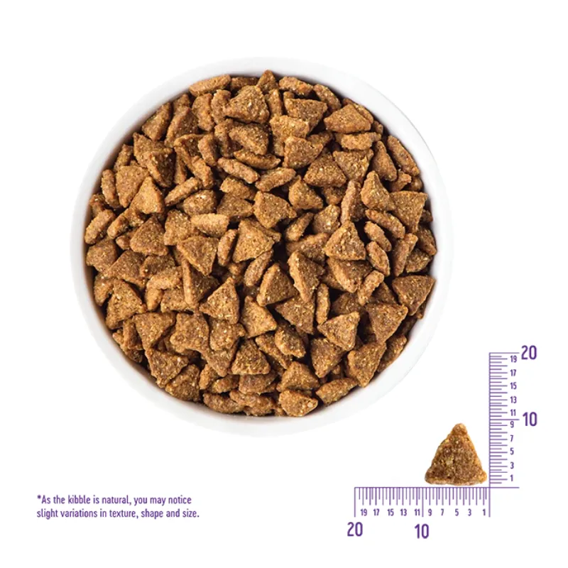 《寵物健康 WELLNESS》無穀低卡小型成犬(火雞)｜CORE無穀低卡小型成犬｜火雞肉｜狗顆粒乾糧