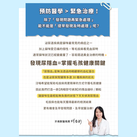 汪喵星球  泌尿健康檢測隱血砂 條型豆腐砂 2.7kg