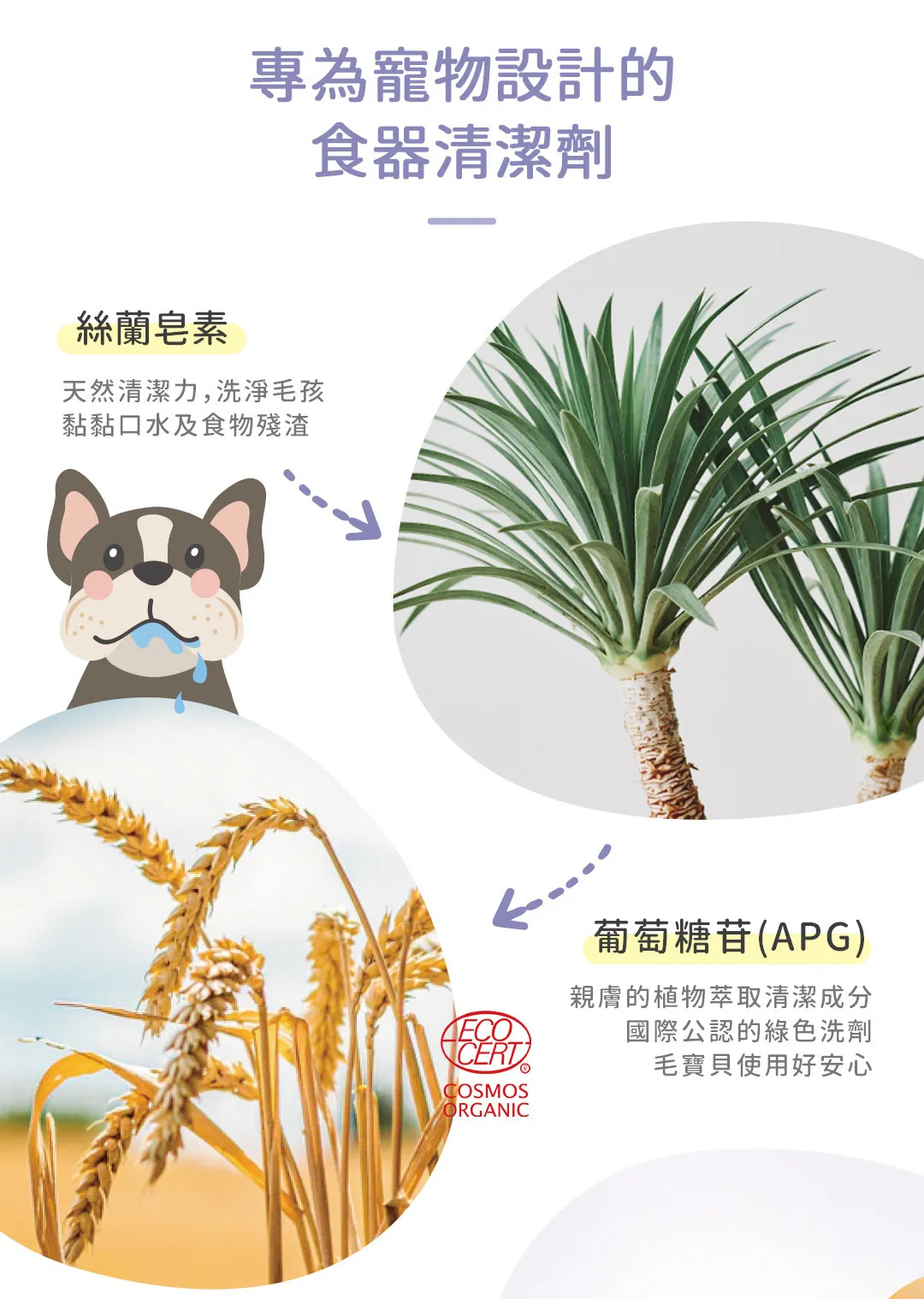 黃金盾 寵物食器專用洗滌慕斯 500ml