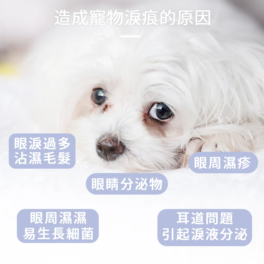 黃金盾 寵物潔顏乾洗慕斯 50ml
