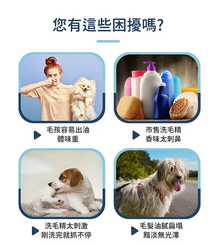 黃金盾 寵物毛髮除臭洗毛精 500ml