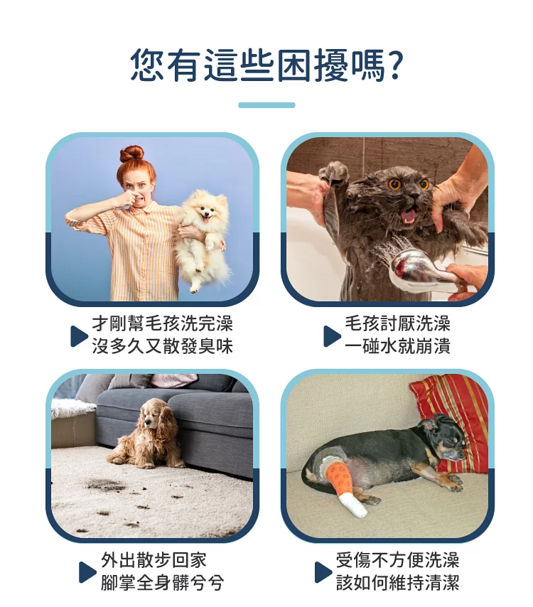 黃金盾 寵物潔淨噴霧 250ml