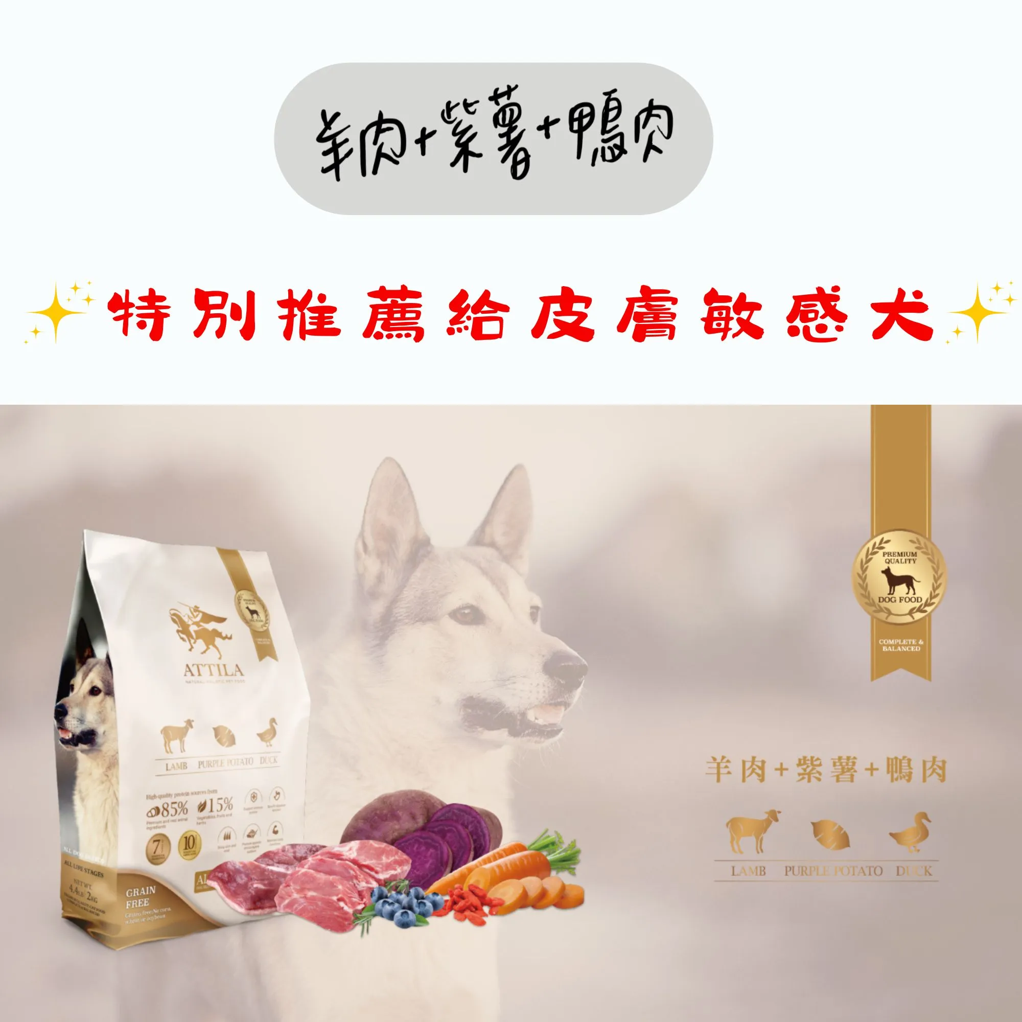 ATTILA 阿提拉 健康無穀犬糧 2kg 6kg 犬飼料 成犬 全齡犬 