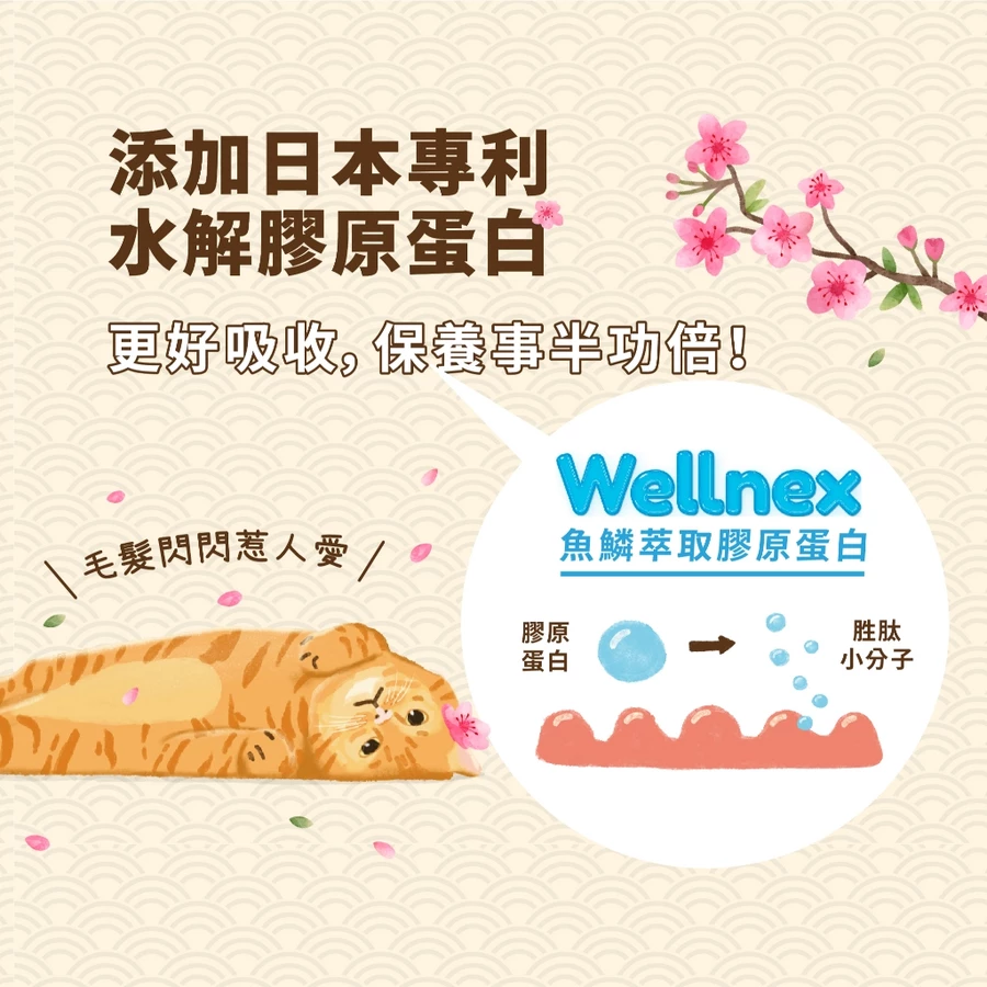 HeroMama  阿嬤養的 機能手切肉乾 30g 犬貓零食