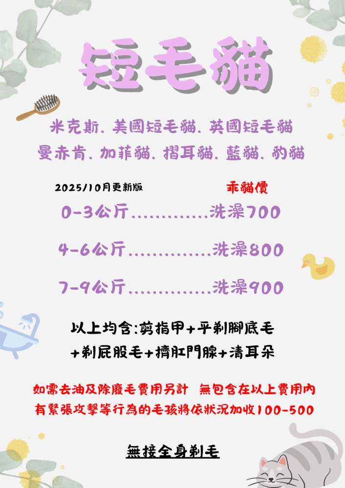 貓貓價位