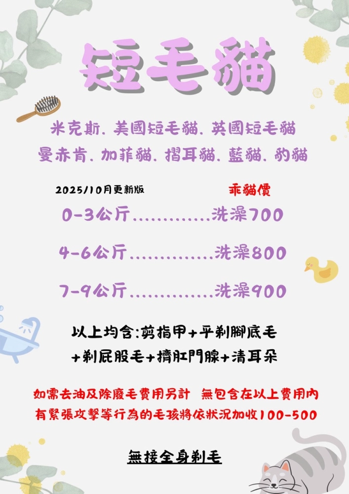 短毛貓造型目錄