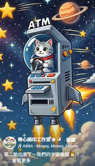 第二胎出來了～我們的宇宙貓貓！