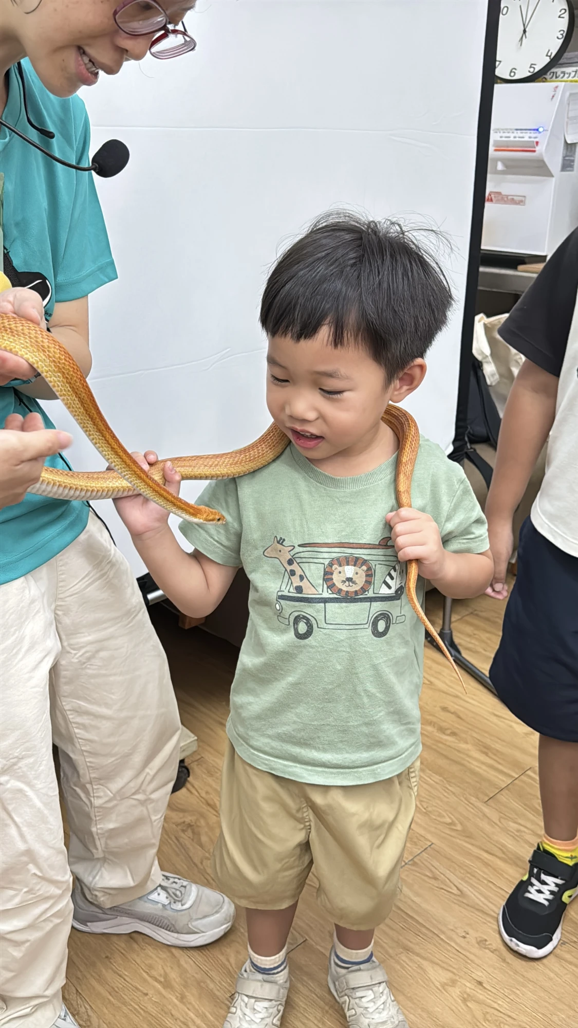 邀請台灣昆蟲館