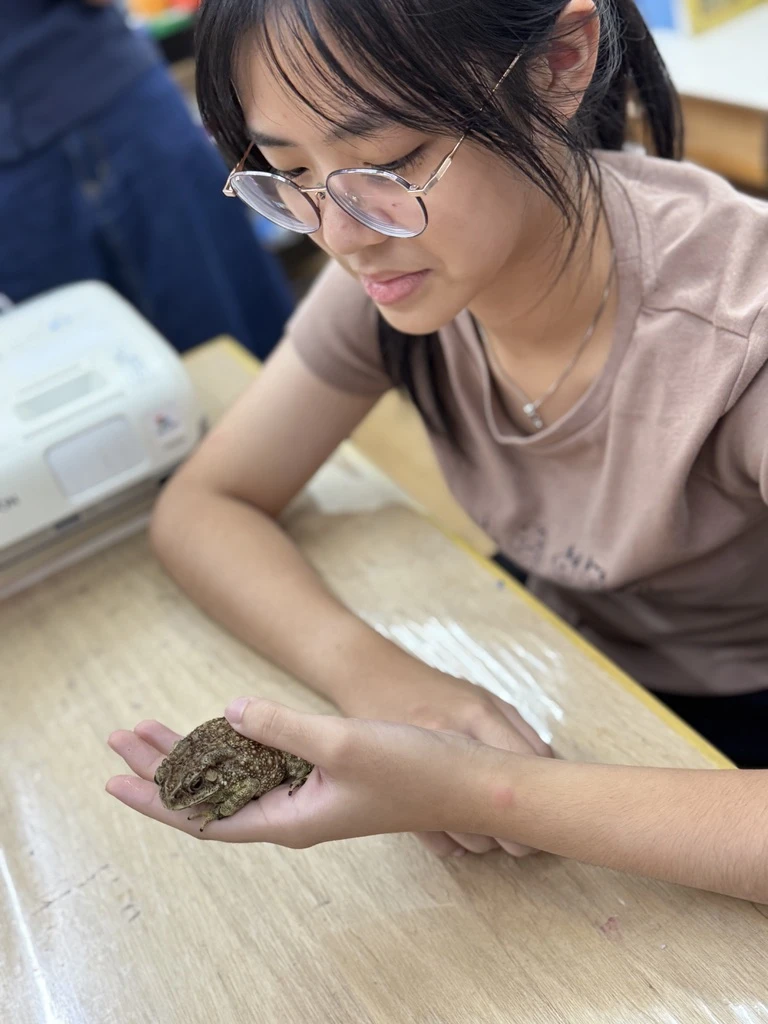邀請台灣昆蟲館