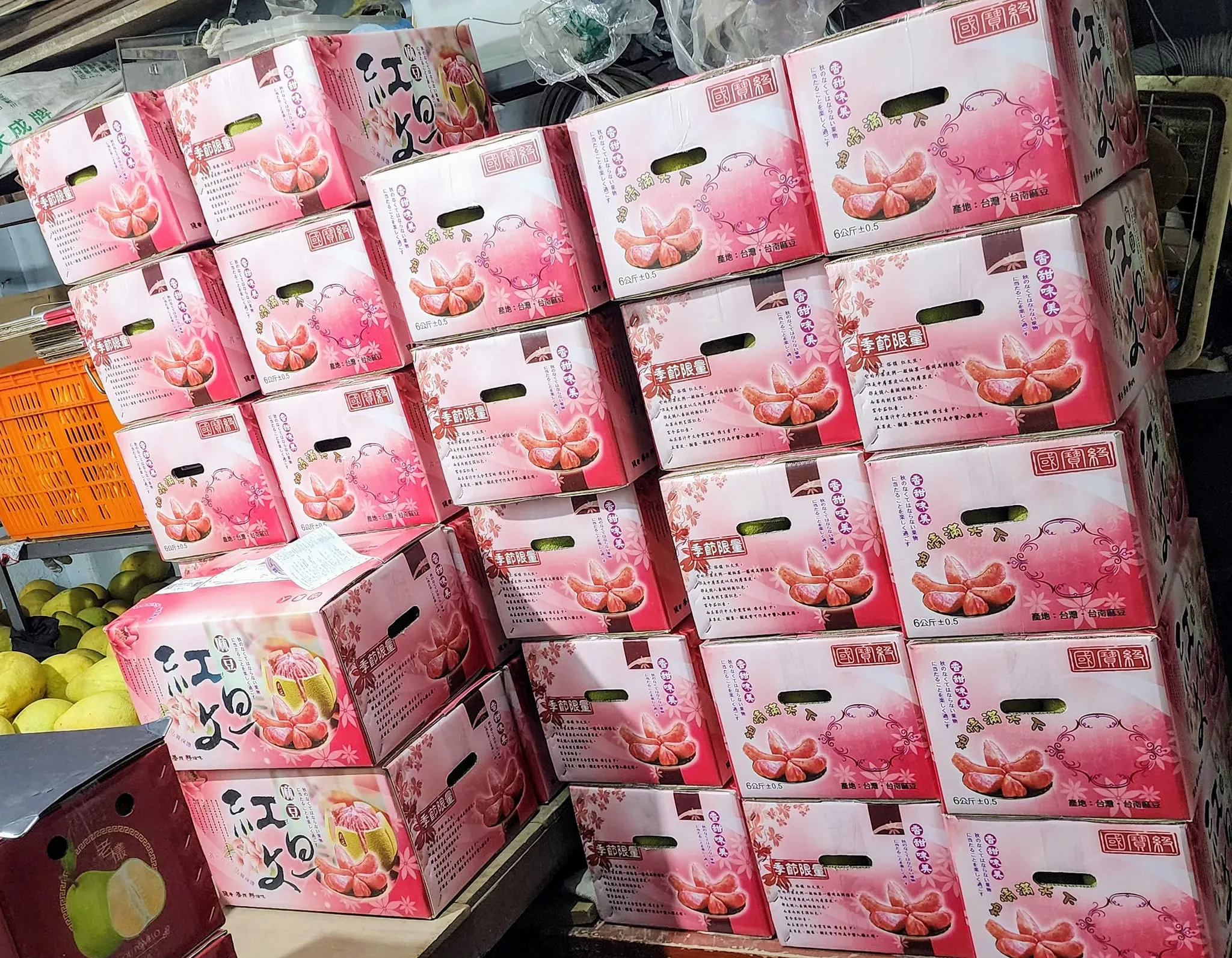 麻豆紅文旦