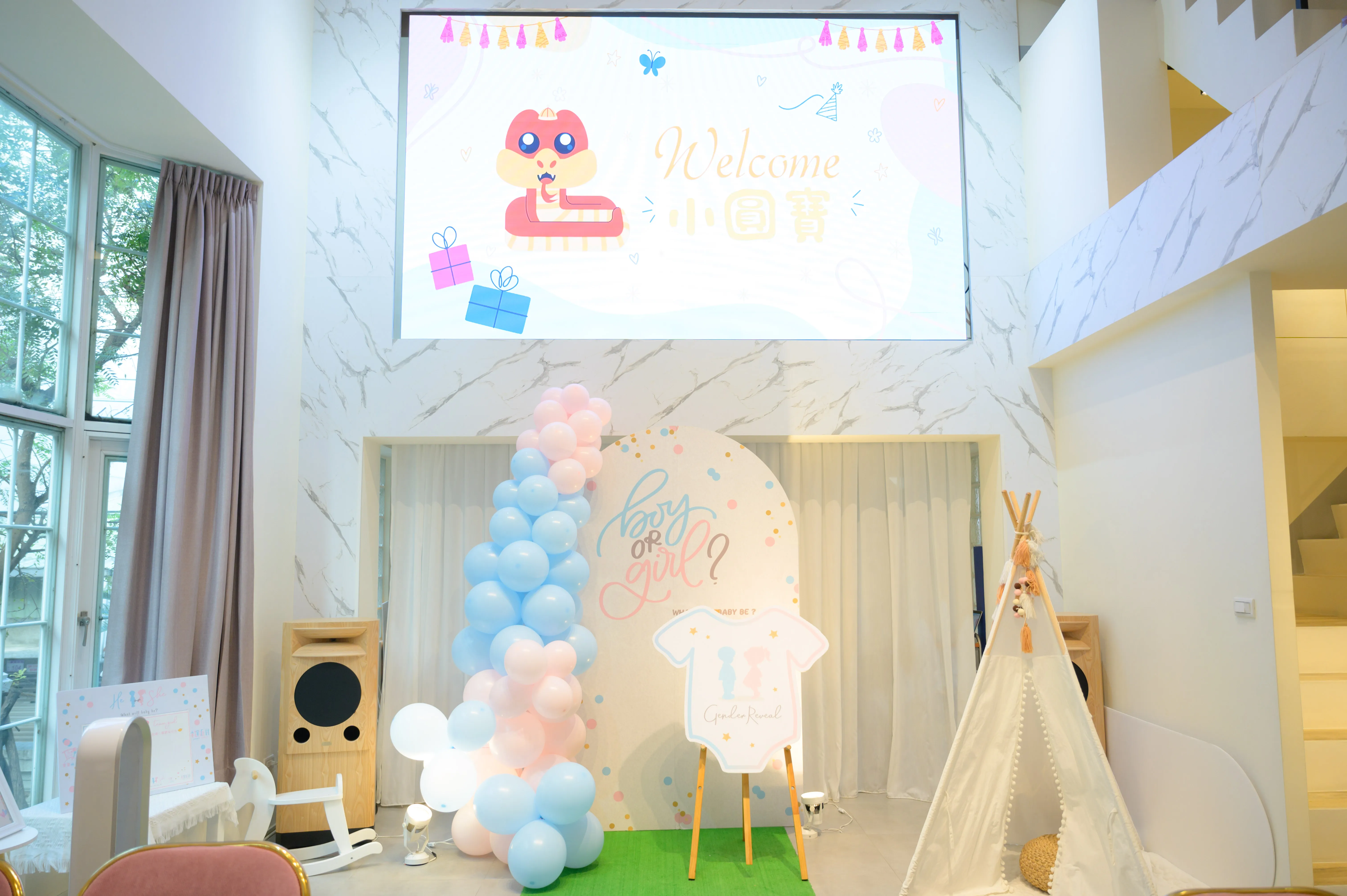 小圓寶！你是誰！