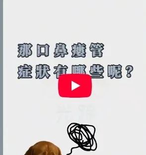 口鼻瘻管是老年犬絕望的疾病！！