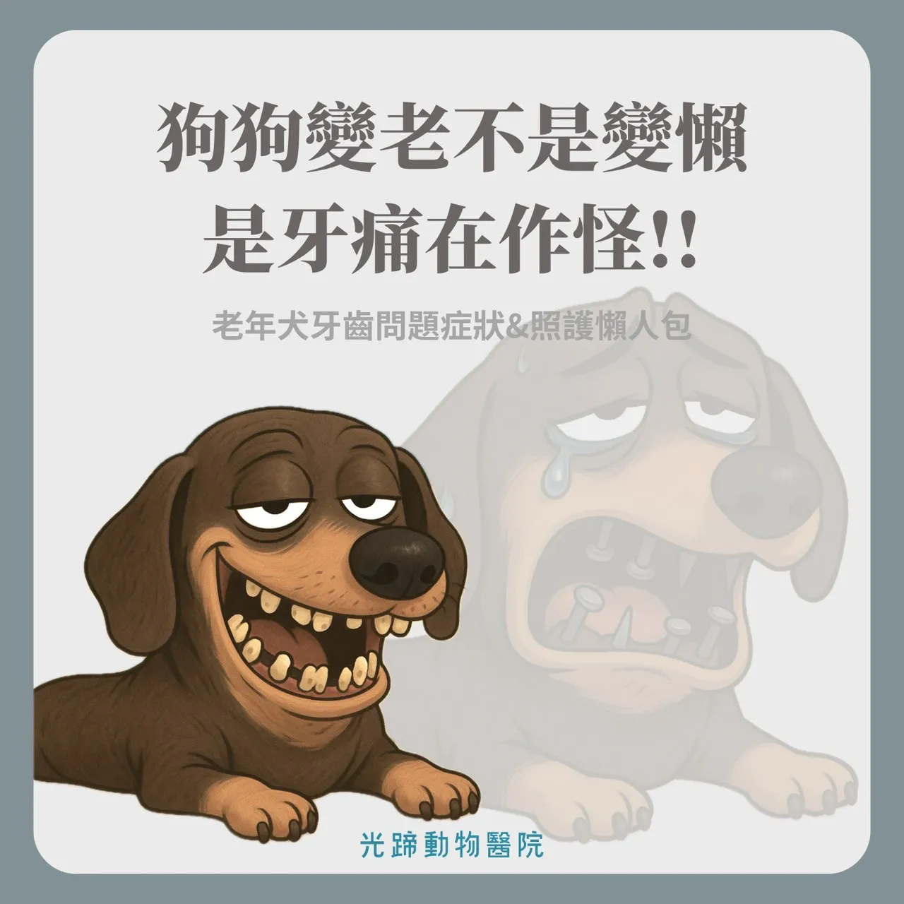 常見牙科問題