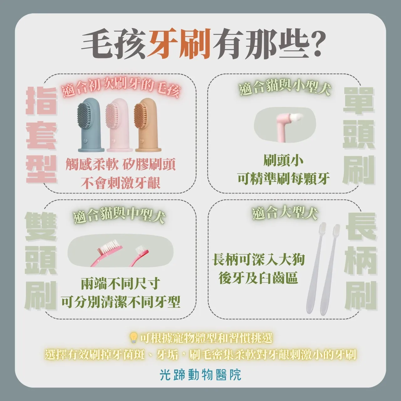 寵物刷牙的重要性