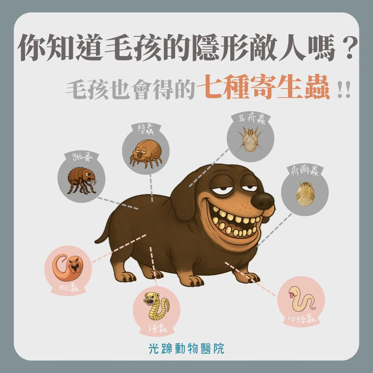 動物寄生蟲