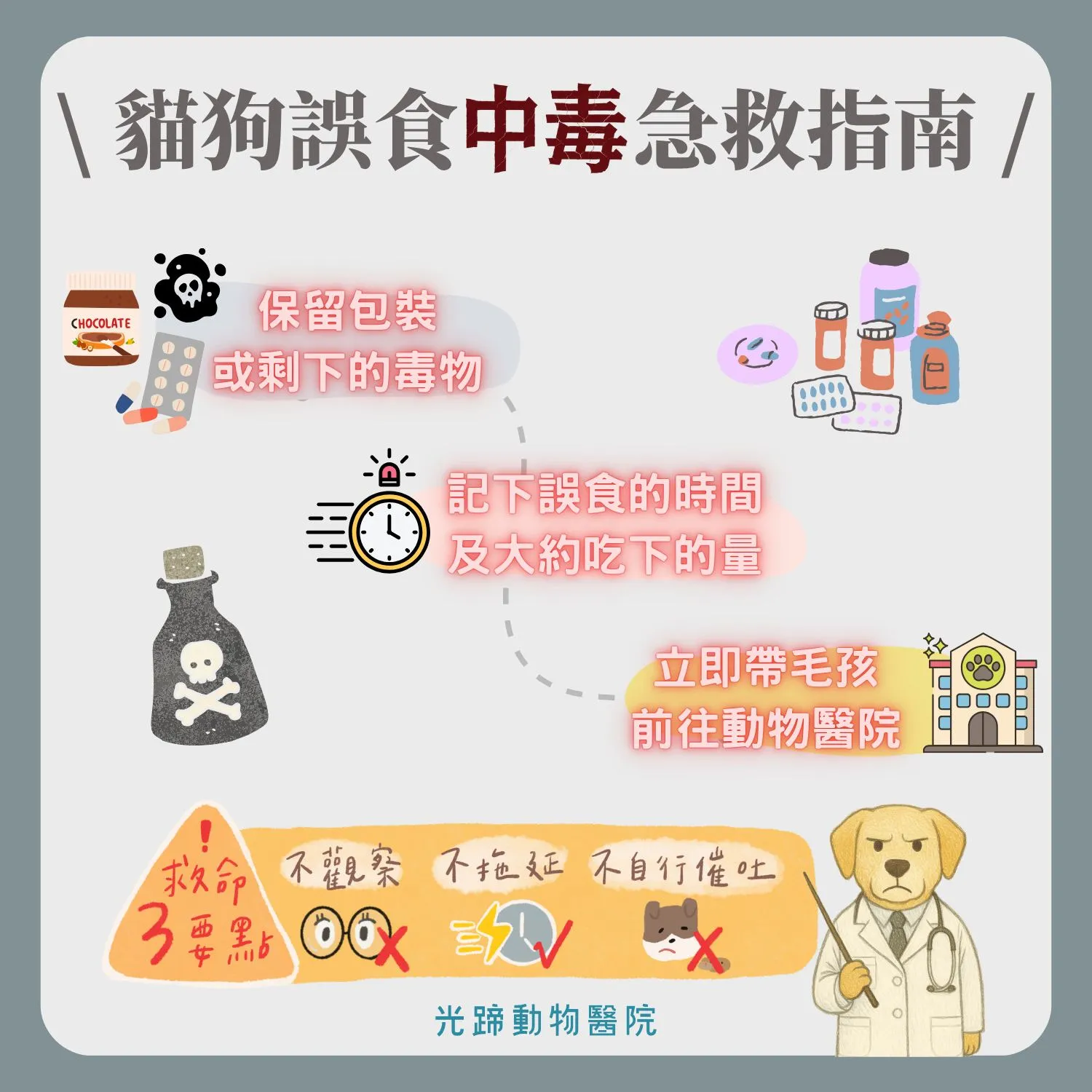 貓狗誤食中毒怎麼辦？急救指南