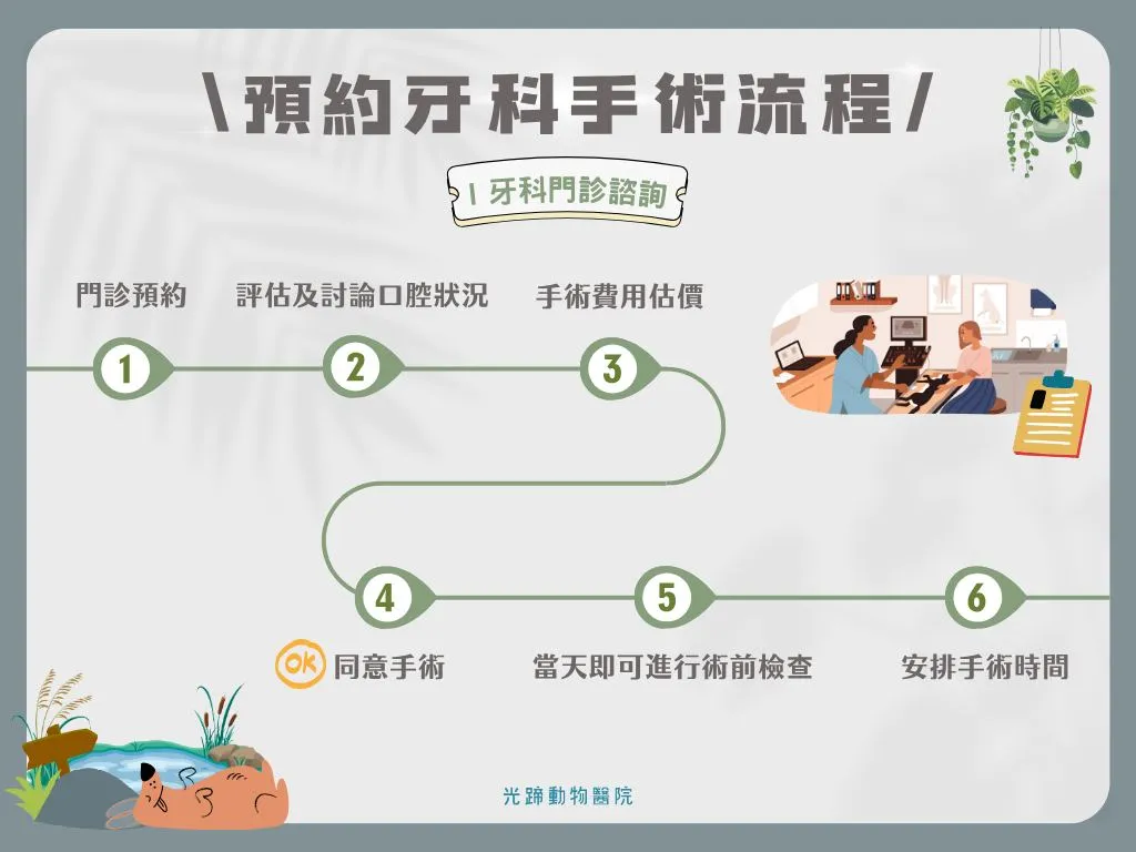 毛孩的兩大拔牙技巧大公開！