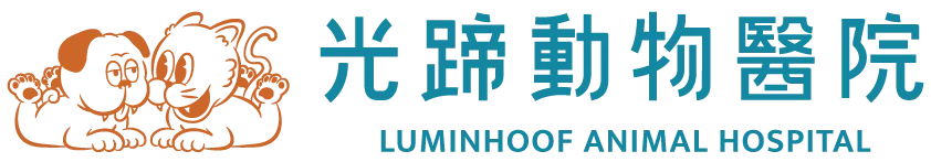 光蹄動物醫院-動物醫院,動物牙科治療,台北動物醫院,信義區動物醫院